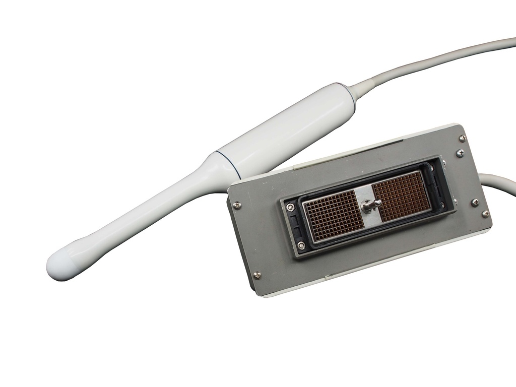 GE S-VDW5-8 3D/4D Intra Cavity Schallkopf