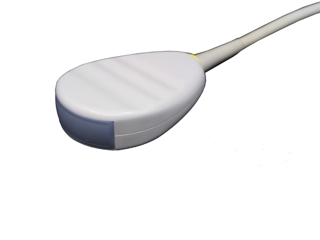 ATL C5-2 Curved Array Schallkopf