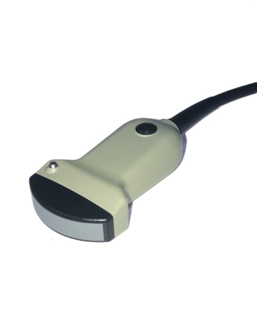 BK Medical 8802 Curved Array Schallkopf