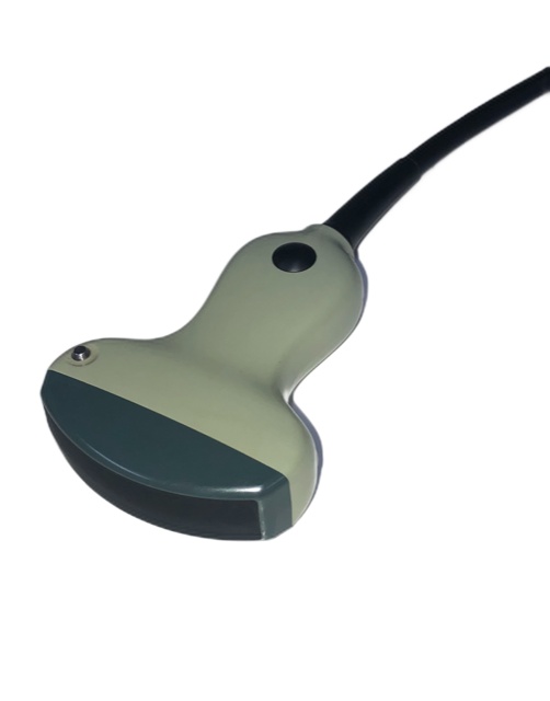 BK Medical 8820 Curved Array Schallkopf