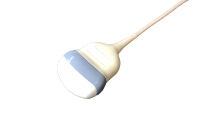 GE RAB2-6-RS 3D/4D Curved Array Schallkopf