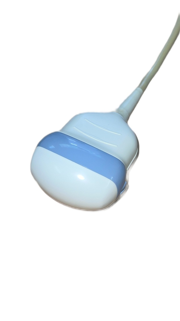 GE RAB6-D 3D/4D Curved Array Schallkopf