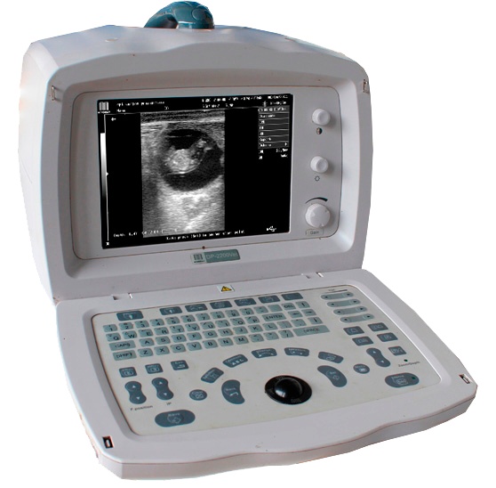 Mindray DP-2200 Vet Ultraschallsystem