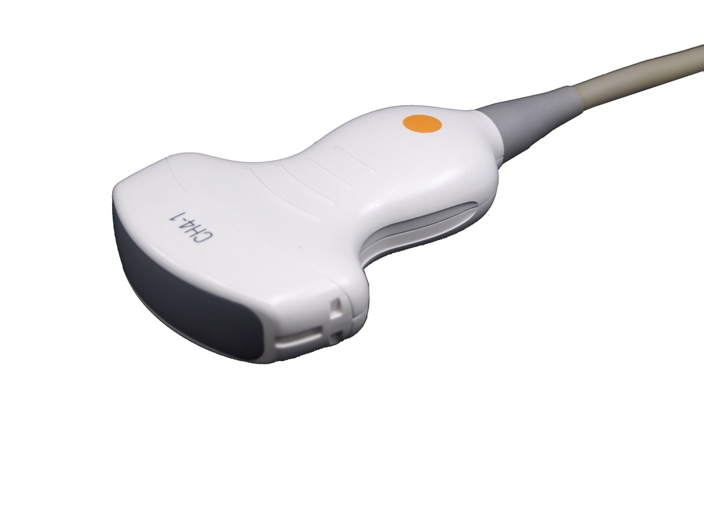 Siemens CH4-1 Curved Array Schallkopf