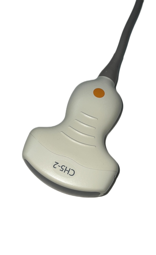 Siemens CH5-2 Curved Array Schallkopf