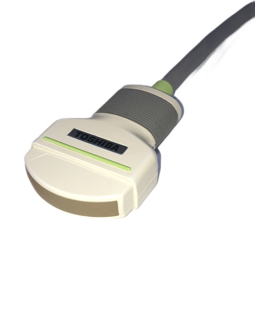 Toshiba PVF-375MT Curved Array Schallkopf