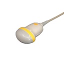 Toshiba PVT-675MV 3D/4D Intra Cavity Schallkopf