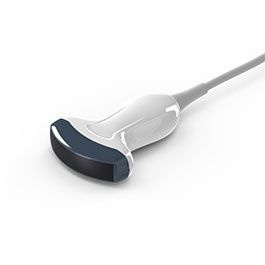 [WEB |703] Chison C3-A Curved Array Schallkopf