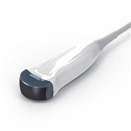 [WEB |739] Chison MC3-E Micro Curved Array Schallkopf