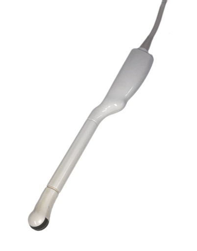 [WEB |875] Esaote EC1123 Intra Cavity Schallkopf