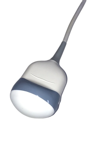 [WEB |1069] GE 4D3C-L 3D/4D Curved Array Schallkopf