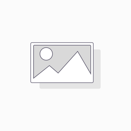[WEB |1182] GE CWD5 Stiftsonde (Pencil) Schallkopf
