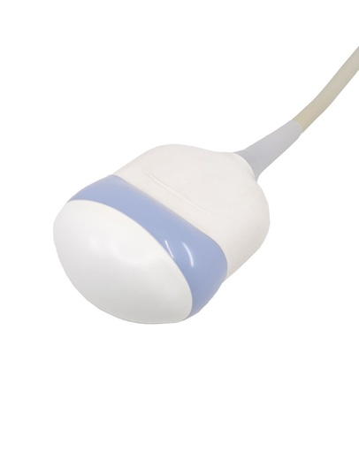 [WEB |1391] GE RAB4-8-D 3D/4D Curved Array Schallkopf