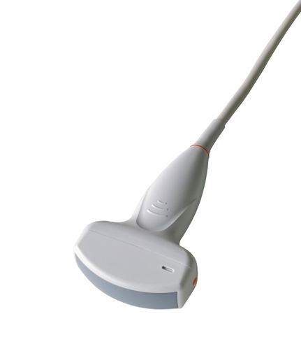 [WEB |2417] SIUI C3LC Curved Array Schallkopf